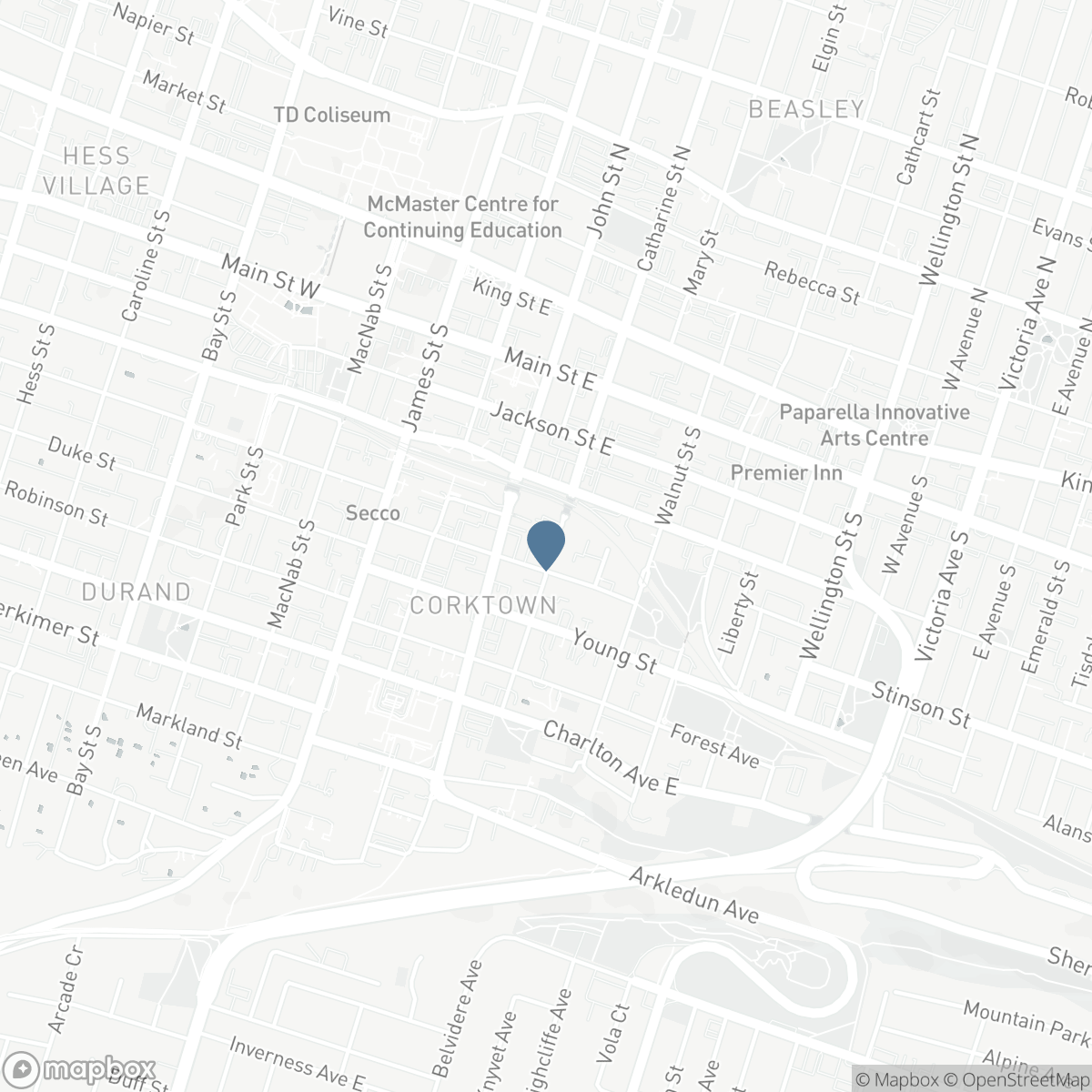 116 CATHARINE Street S, Hamilton, Ontario L8N 2J4